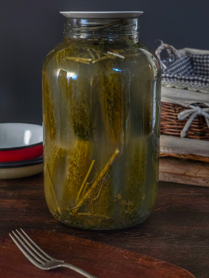 castraveti-murati-de-vara