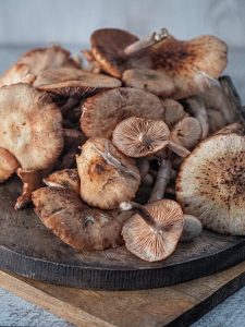 tagliatelle-cu-ghebe-dovleac-copt-si-rozmarin
